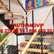 cau_thang_day_cap_VIP-C04